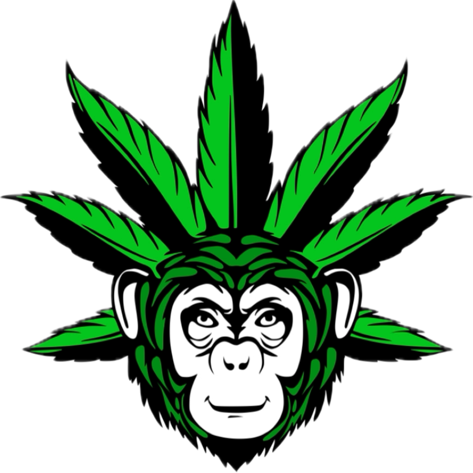 Fleur CBD Hydro Moby Dick - HH Monkey CBD